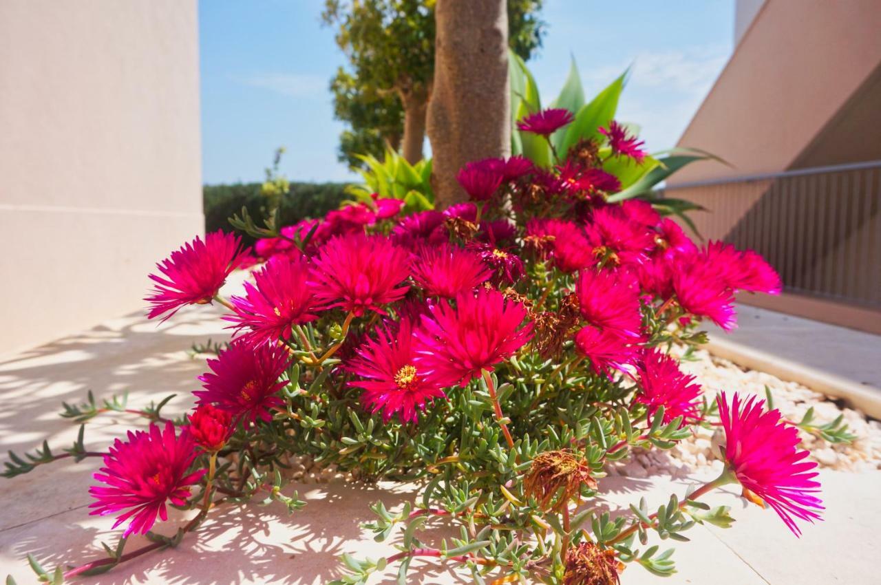 Appartement Casa Laranja, Aromas Burgau Extérieur photo